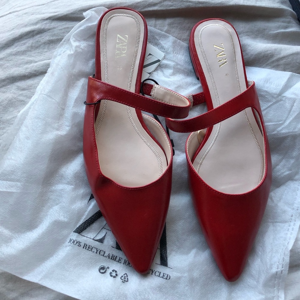 Zara Mules